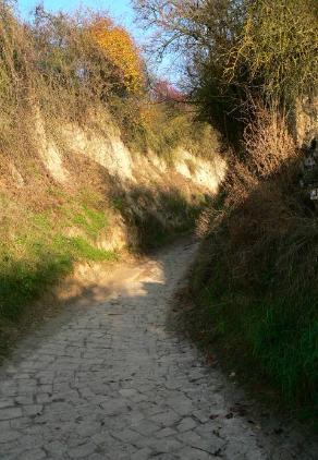 Hohlweg am Stratzenberg