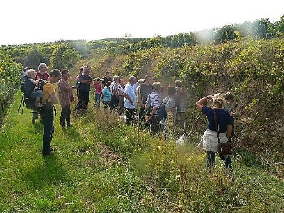 Besuchergruppe in der Krummsteig Hohl