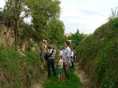 Wandergruppe im Pitschgrund